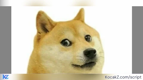 PoPoPoo Hub