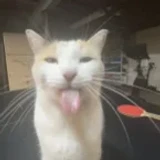 LurIsAqt