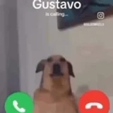 WeakestDummy344