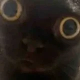 zazaddggjj123