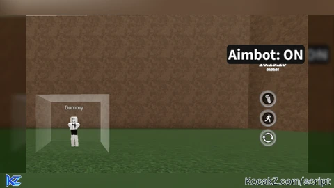 Aimbot x hitbox expander for bot and npc