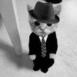 mrgigabiga