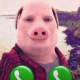 MerzzL1