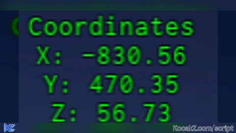 coordinates viewer