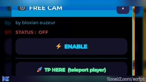 FREE CAM