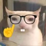 w0o0o