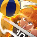 Volleyball Ascended icon