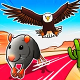 Animal Racing