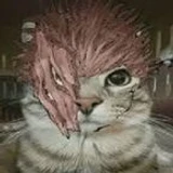 Unlikely_human