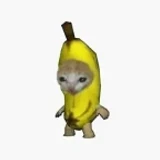 scarletdev