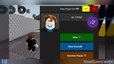 View Player GUI