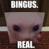 Raise a Bingus