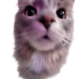 Voidhubb