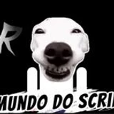 freitas44soares