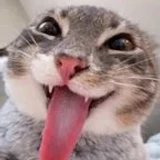 ayqu