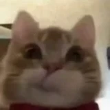 PhatsPham