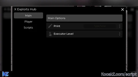 X Hub Beta