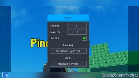 Set fake fps fe