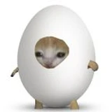 Pepecolita887