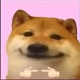 FadilCHYT