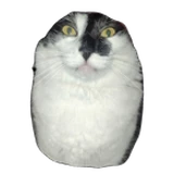 Goonball69