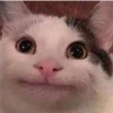 jkhasdws