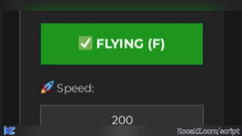 F fly