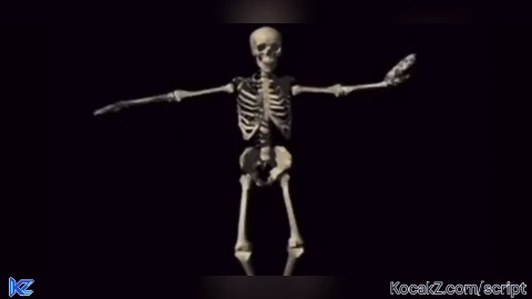 Spooky Scary Skeletons skybox
