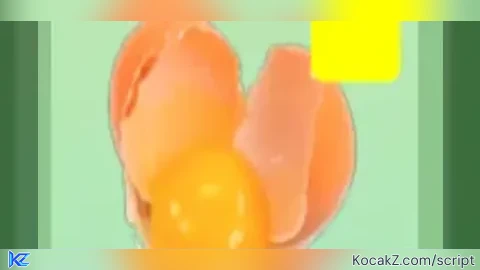hamster ball