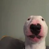 itzorionlmao