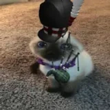 caty