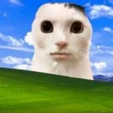 cool_exploiter_guy