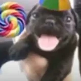supercoolboi34