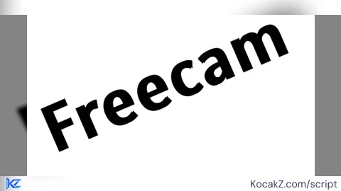 Freecam Script
