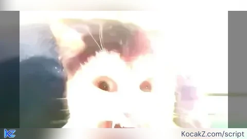 K0m555l0l2 Gui