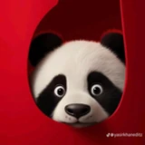 Pandaz
