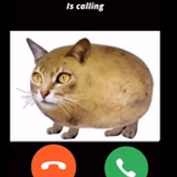 AlreadyInUse