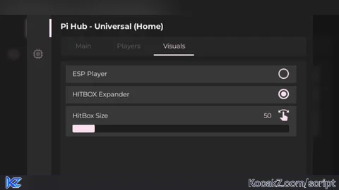 PI HUB UNIVERSAL
