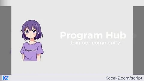 Program Hub NEED KEY [PC VERSION]