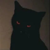 Skitz