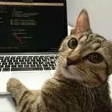 icyzzscripts