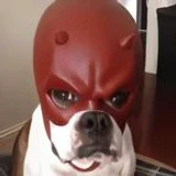 zxvxz