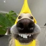 elamourinessimmoroc