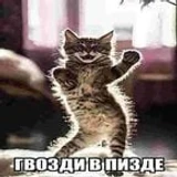 pdzamaletdinov