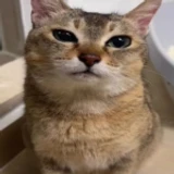 [ Content Deleted ]