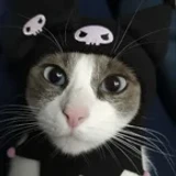 Miauuwacho