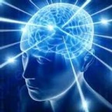 Brain