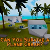 Can You Survive a Plane Crash?