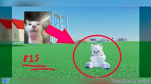 Cat Animation Scripts
