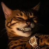 catnba
